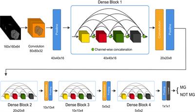 3D DenseNet Deep Learning Based Preoperative Computed Tomography for Detecting Myasthenia Gravis in Patients With Thymoma